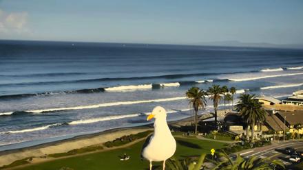 Del Mar Beach Overlook Roaming Live Webcam - Nov 19, 2025, 7:56am PST