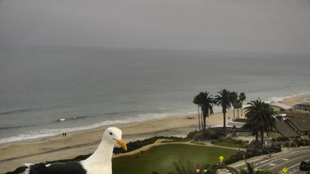 Del Mar Beach Overlook Roaming Live Webcam - Mar 30, 2026, 9:13am PDT