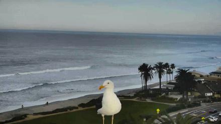 Del Mar Beach Overlook Roaming Live Webcam - Dec 3, 2025, 7:58am PST