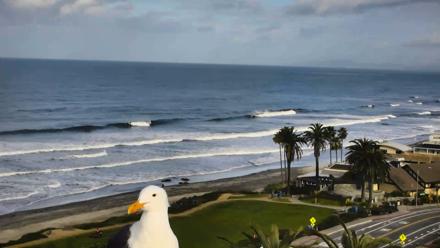 Del Mar Beach Overlook Roaming Live Webcam - Feb 19, 2026, 8:38am PST