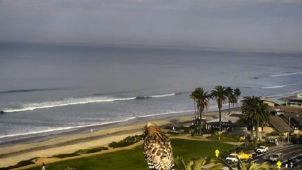 Del Mar Beach Overlook Roaming Live Webcam - Jan 22, 2026, 9:07am PST