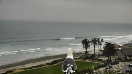 Del Mar Beach Overlook Roaming Live Webcam - Dec 23, 2025, 9:01am PST