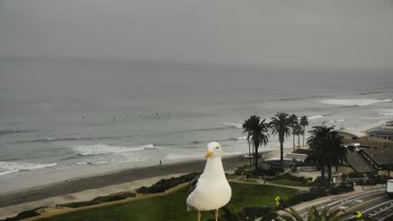 Del Mar Beach Overlook Roaming Live Webcam - Dec 23, 2025, 8:53am PST