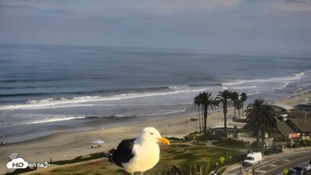 Del Mar Beach Overlook Roaming Live Webcam - Jun 8, 2026, 9:04am PDT