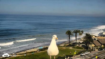 Del Mar Beach Overlook Roaming Live Webcam - Oct 14, 2026, 10:55am PDT