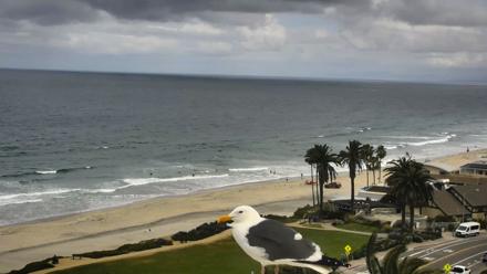Del Mar Beach Overlook Roaming Live Webcam - Apr 2, 2026, 10:11am PDT