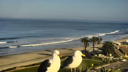 Del Mar Beach Overlook Roaming Live Webcam - Mar 11, 2026, 8:33am PDT