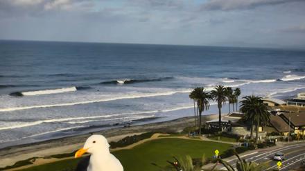 Del Mar Beach Overlook Roaming Live Webcam - Feb 19, 2026, 8:39am PST