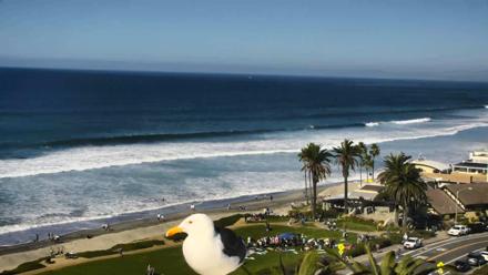 Del Mar Beach Overlook Roaming Live Webcam - Nov 23, 2025, 11:20am PST