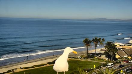 Del Mar Beach Overlook Roaming Live Webcam - Dec 5, 2025, 10:23am PST