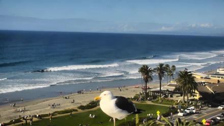 Del Mar Beach Overlook Roaming Live Webcam - Dec 25, 2025, 1:23pm PST