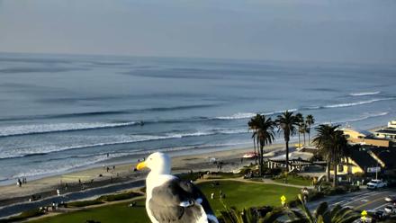 Del Mar Beach Overlook Roaming Live Webcam - Nov 30, 2025, 3:35pm PST