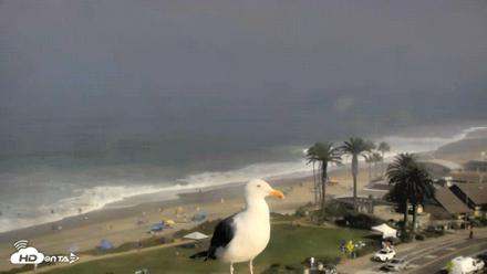 Del Mar Beach Overlook Roaming Live Webcam - Aug 29, 2026, 9:24am PDT