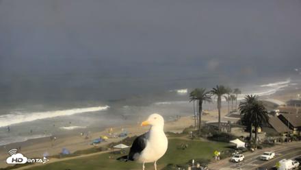 Del Mar Beach Overlook Roaming Live Webcam - Aug 29, 2026, 9:24am PDT