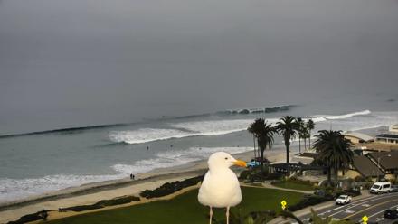 Del Mar Beach Overlook Roaming Live Webcam - Jan 21, 2026, 10:16am PST