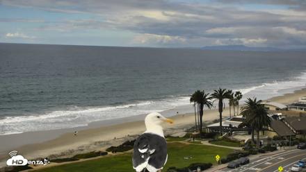 Del Mar Beach Overlook Roaming Live Webcam - Oct 23, 2026, 2:43pm PDT
