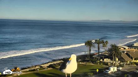 Del Mar Beach Overlook Roaming Live Webcam - Oct 15, 2026, 8:10am PDT
