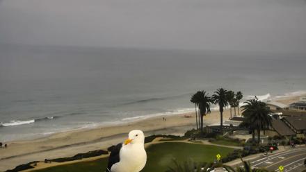 Del Mar Beach Overlook Roaming Live Webcam - Mar 30, 2026, 9:10am PDT