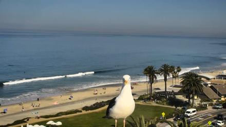Del Mar Beach Overlook Roaming Live Webcam - Mar 20, 2026, 10:14am PDT