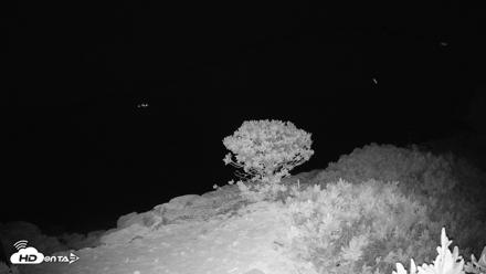 Turks & Caicos Grace Bay Live Webcam - Oct 19, 2026, 2:15am EDT