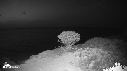Turks & Caicos Grace Bay Live Webcam - Sep 11, 2026, 7:30pm EDT