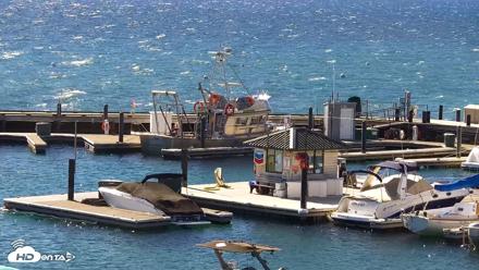 Tahoe City Marina - Lake Tahoe Live Webcam - Oct 15, 2026, 10:49am PDT