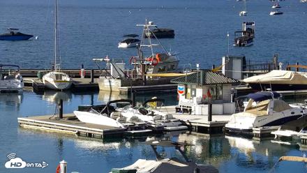 Tahoe City Marina - Lake Tahoe Live Webcam - Jun 8, 2026, 8:08am PDT