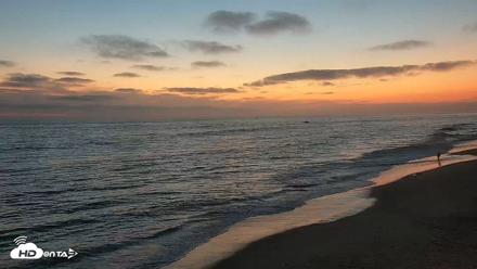 Carlsbad Beach Surf Live Webcam - Aug 11, 2026, 8:09pm PDT