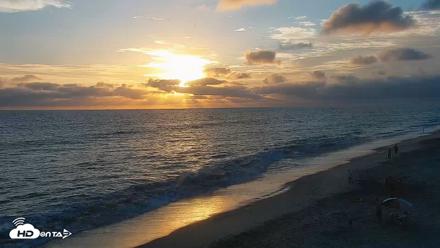 Carlsbad Beach Surf Live Webcam - Aug 12, 2026, 7:19pm PDT