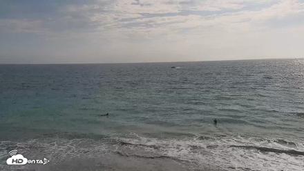 Carlsbad Beach Surf Live Webcam - Aug 5, 2026, 4:52pm PDT
