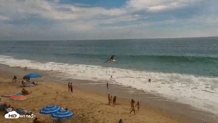 Carlsbad Beach Surf Live Webcam - Jul 20, 2026, 4:35pm PDT