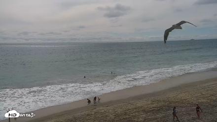 Carlsbad Beach Surf Live Webcam - Aug 13, 2026, 4:04pm PDT