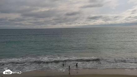 Carlsbad Beach Surf Live Webcam - Aug 13, 2026, 5:32pm PDT