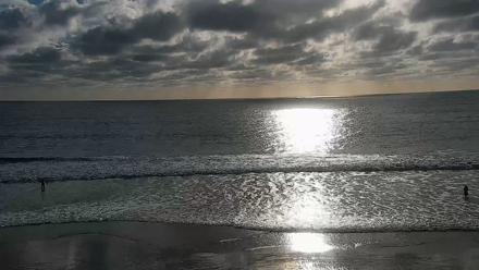 Carlsbad Beach Surf Live Webcam - Feb 14, 2026, 4:04pm PST