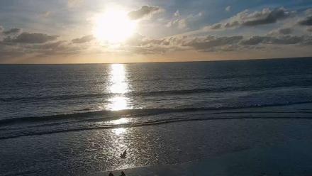 Carlsbad Beach Surf Live Webcam - Feb 14, 2026, 5:00pm PST