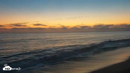 Carlsbad Beach Surf Live Webcam - Aug 28, 2026, 7:44pm PDT