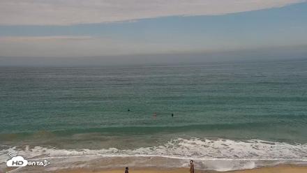 Carlsbad Beach Surf Live Webcam - Jul 12, 2026, 8:55am PDT