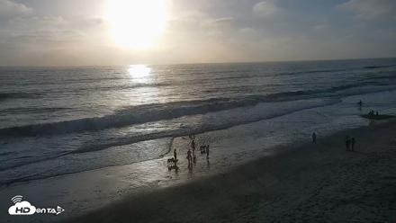 Carlsbad Beach Surf Live Webcam - Sep 30, 2026, 5:56pm PDT