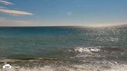 Carlsbad Beach Surf Live Webcam - Sep 5, 2026, 3:42pm PDT