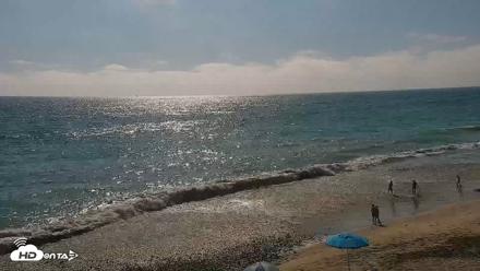 Carlsbad Beach Surf Live Webcam - Aug 8, 2026, 4:31pm PDT