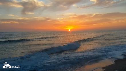 Carlsbad Beach Surf Live Webcam - Aug 26, 2026, 7:19pm PDT