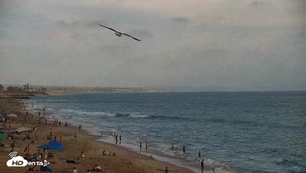 Carlsbad Beach Surf Live Webcam - Jul 3, 2026, 6:15pm PDT