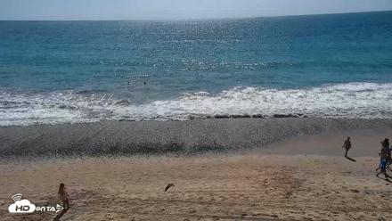Carlsbad Beach Surf Live Webcam - Sep 13, 2026, 2:57pm PDT