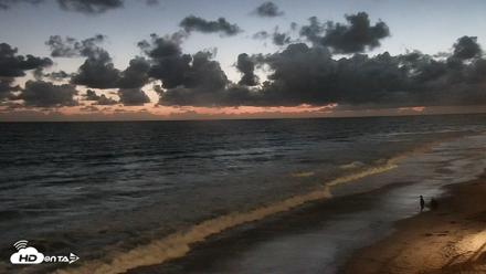 Carlsbad Beach Surf Live Webcam - May 27, 2026, 8:36pm PDT