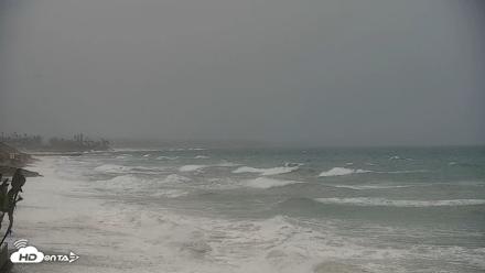 Carlsbad Beach Surf Live Webcam - Oct 11, 2026, 9:43am PDT