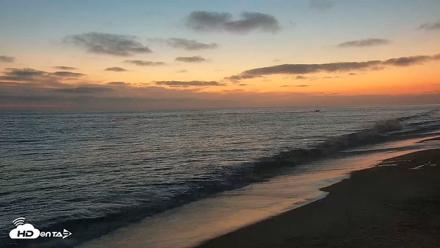 Carlsbad Beach Surf Live Webcam - Aug 11, 2026, 8:08pm PDT