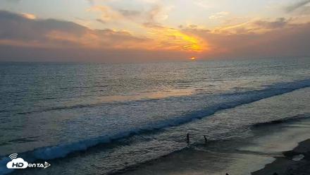Carlsbad Beach Surf Live Webcam - Apr 18, 2026, 7:20pm PDT