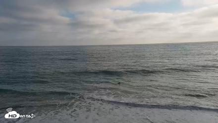 Carlsbad Beach Surf Live Webcam - Aug 18, 2026, 6:30pm PDT