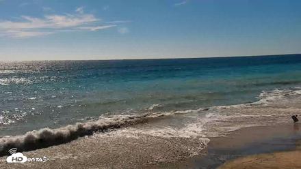 Carlsbad Beach Surf Live Webcam - Sep 4, 2026, 3:33pm PDT
