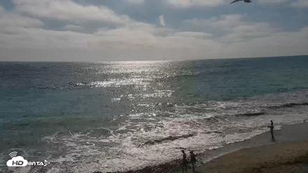 Carlsbad Beach Surf Live Webcam - Aug 8, 2026, 4:58pm PDT